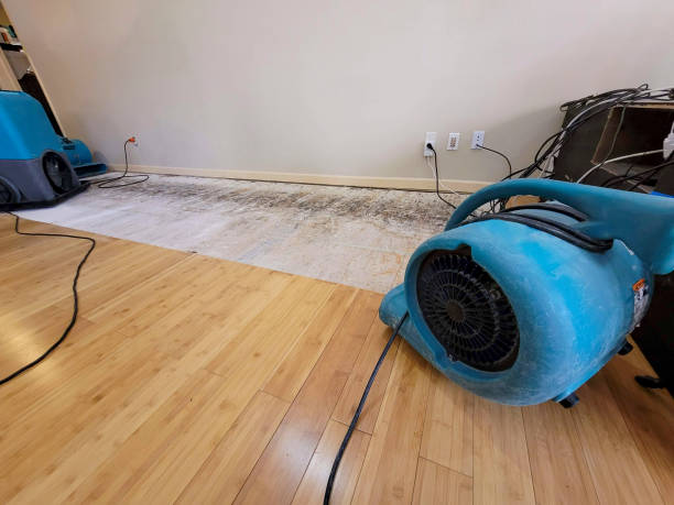 Professional Structural Drying technician working in Clarksville, IN
